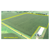 November 24, 2025 at 1:30 P.M. --Live Public Auction Of 30.31+/- Acres Of Land 