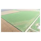 December 4, 2025 at 10:30 A.M. --Live Public Auction Of 2 Tracts Of Land