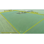December 11, 2025 at 10:30 A.M. --Live Public Auction Of A Tract Of Farmland 