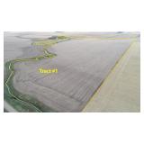 March 10, 2026 at 10:30 A.M. --Live Public Auction Of 2 Tracts Of Land