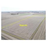April 23, 2026 at 10:30 A.M.--Live Public Auction Of 2 Contiguous Tracts Of Farmland 
