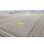 April 23, 2026 at 10:30 A.M.--Live Public Auction Of 2 Contiguous Tracts Of Farmland 