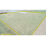 June 18, 2026 at 10:30 A.M. --Live Public Auction Of 142+/- Acres Of Pastureland