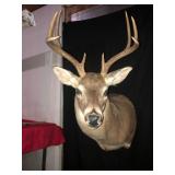 Dealer Delight - Variety Online Auction