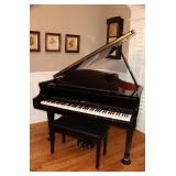 Presell @ $11,998 - Stock #004