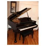 Presell @ $11,998 - Stock #004