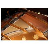 Presell @ $11,998 - Stock #004