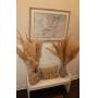 SWANKY MURFREESBORO ESTATE SALE