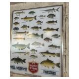 Lone Star Bee Fresh Water Poster