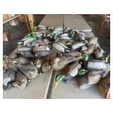 Duck Decoys