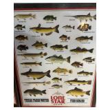 Lone Star Beer Freshwater Fish Poster
