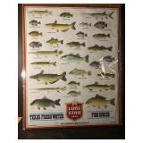 Lone Star Freshwater Fish Poster
