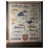 Lone Star Beer Salt Water Fish Poster