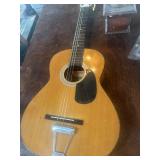 Acoustic Guitar
