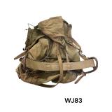 Backpack w/ early frame