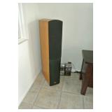 Klipsch KSP 300 Floorstanding Speakers