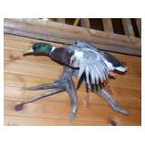 gorgeous bird mounts