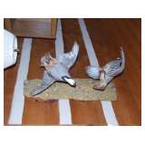 BEAUTIFUL BIRD MOUNTS