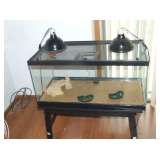 BEARDED DRAGON AND TANK