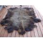 Large Buffalo hide