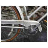 Raleigh Sport