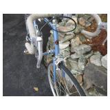 Fuji bike