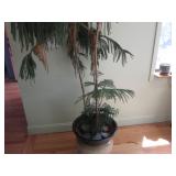 house tree