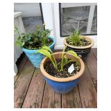 Flower Pots