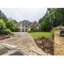 Sensing Transitions Presents a Upscale One of a Kind Toco Hills Estate Sale