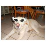 Ceces Closet is the Best Estate Sale Company in Central Florida