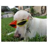 Ceces Closet is the Best Estate Sale company in the Central Florida Area...