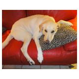 Oviedo Estate Sale from Ceces Closet