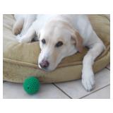 Lake Mary/Sanford Estate Sale #2 from Ceces Closet LLC