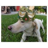  25% OFF FRIDAY University/Econ 3 Days to shop Estate Sale from Ceces Closet LLC