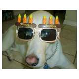 Birthday Greeting to Everyone