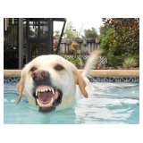 No need to fear.. This is my water splash face while in the pool... love Zeek