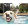 No need to fear.. This is my water splash face while in the pool... love Zeek