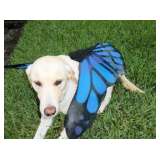 Delicious Dr Phillips Estate Sale from Ceces Closet