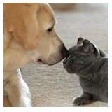 Massive 3 Day Estate Sale from Ceces Closet