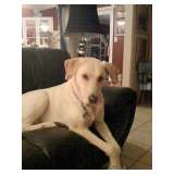 If you want some lovely pieces for your house.. Come and see my mommie this weekend.. thanks