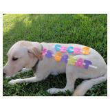 Winter Springs Estate Sale & Cadillac from Ceces Closet