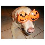 Always fun times with my Mommie at Ceces Closet