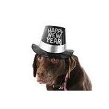 Apopka Estate Sale from Ceces Closet