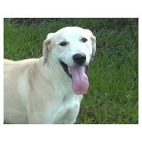 Downtown Orlando Estate Sale from Ceces Closet