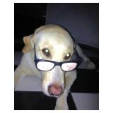 Olde Winter Park Estate from Ceces Closet