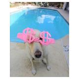 University Estate Sale Ceces Closet