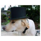 Massive 4 Days Estate.50% SATURDAY . Car can be SOLD NOW.2016 Fusion to view