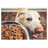 Lovely Lake Mary  Estate Sale from Ceces Cloet