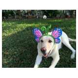 Do not hate me because I am beautiful