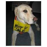 Elegant 6500 sq ft BayHill South Estate Sale from Cece's Closet LLC